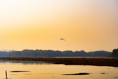 Bird flying over lake against sky during sunset