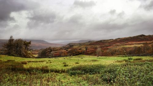 Scenic view of landscape against sky