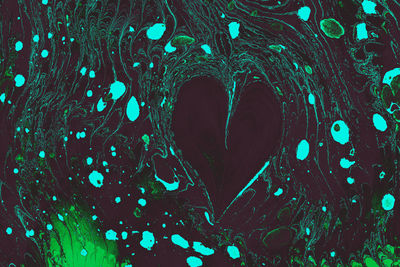 High angle view of heart shape leaf in water