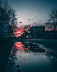 Reflection of bare trees in puddle on road in winter