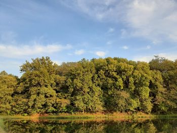 Scenic view of trees by lake against sky