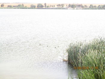 Scenic view of lake