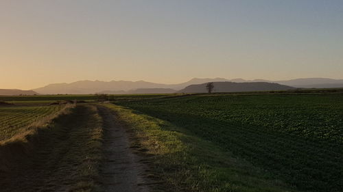 Scenic view of field against sky during sunset