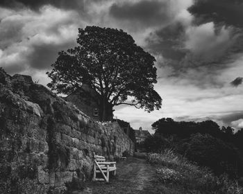 Trees on field against sky