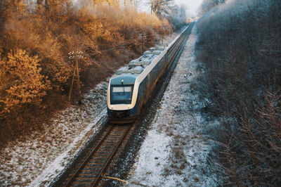 Railroad tracks amidst trees during winter