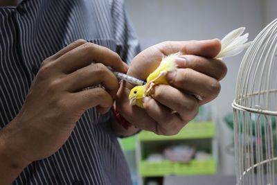 Midsection of man injecting syringe to bird