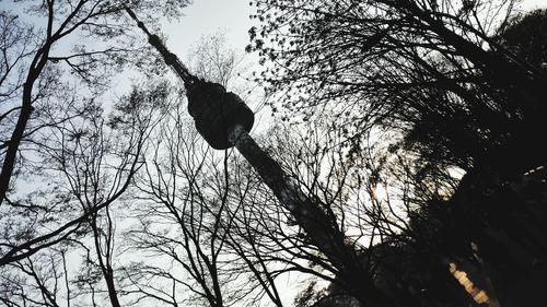 Low angle view of bird perching on tree against sky