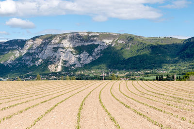 Scenic view of agricultural field near saleve mountain