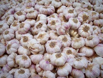 Full frame shot of onions for sale in market