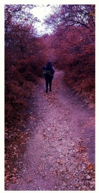 the way forward, rear view, walking, full length, lifestyles, tree, men, diminishing perspective, auto post production filter, leisure activity, transfer print, standing, vanishing point, person, season, autumn, road, unrecognizable person