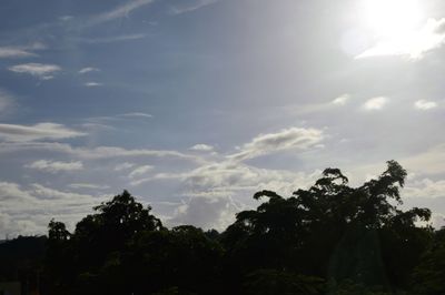 Low angle view of silhouette trees against sky