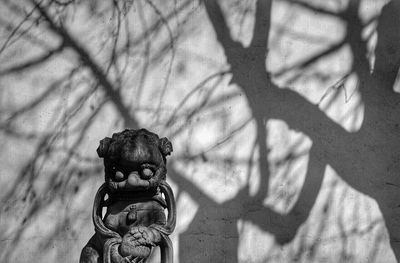 Close-up of plant against blurred background