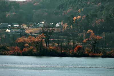 Scenic view of lake by trees during autumn