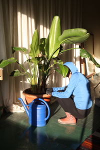 Potted plant on table at home