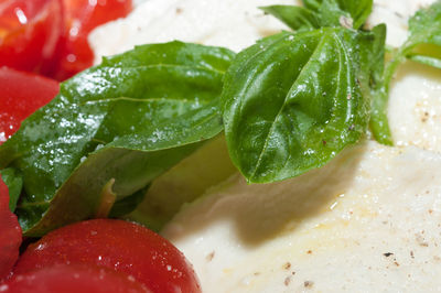 Close-up of fresh vegetables