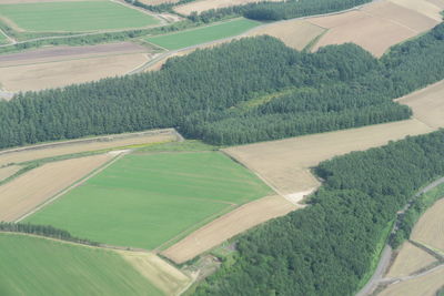 High angle view of agricultural field