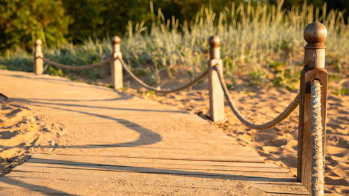 Ecological hiking trail in the national park through sand dunes, beach.