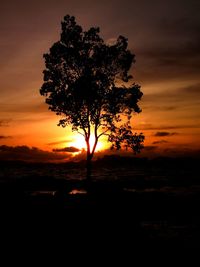 Silhouette tree on field against orange sky