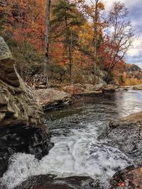 View of waterfall in forest during autumn