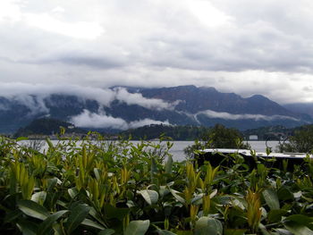 Scenic view of mountains against cloudy sky