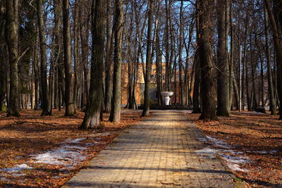 Dirt road amidst trees in forest during autumn