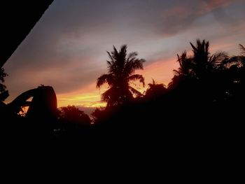 Silhouette trees against sky during sunset