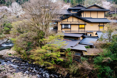 High angle view of houses and trees in town