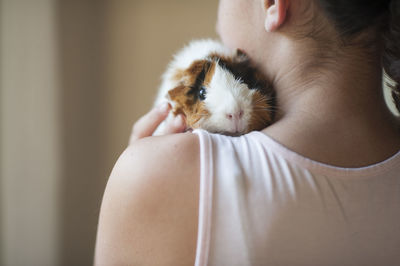 Girl holding small guinea pig pet over her shoulder