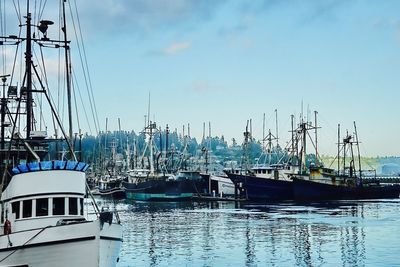 Sailboats moored at harbor