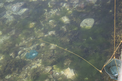 Close-up of fishing net on sea