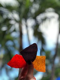 Cropped hand of woman holding petals