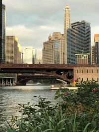 Bridge over river by buildings against sky