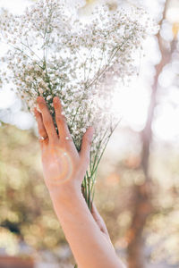 Close-up of hands holding bouquet