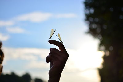 Damselflies perching on hand against sky during sunset