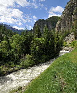 Drive along the crystal river in colorado