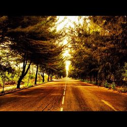 Road passing through country road