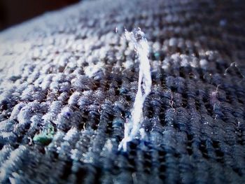 Close-up of snow on wood