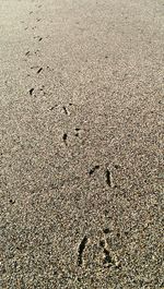 Full frame shot of water