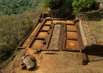 Low angle view of old ruin in forest