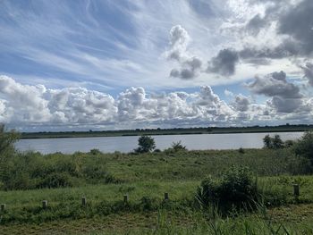 Scenic view of field against sky