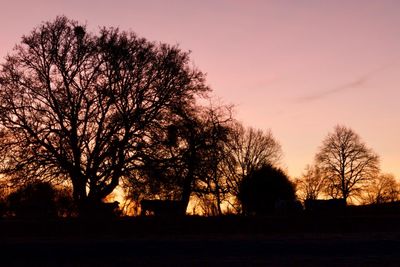 Silhouette bare trees on field against sky at sunset