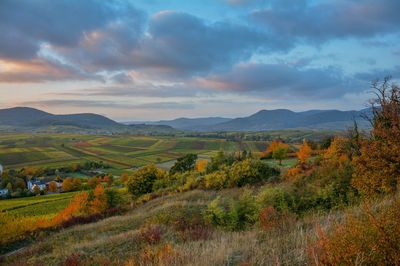 Scenic view sunset