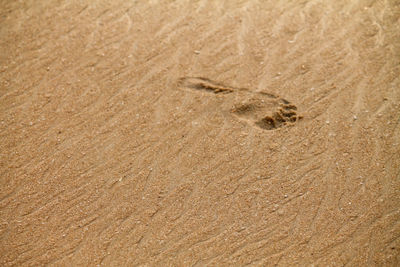 Close-up of footprints on sand at beach