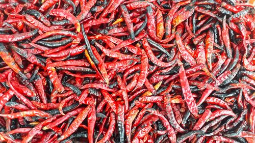 Full frame shot of red chili peppers at market