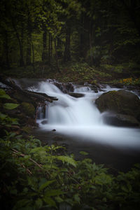 Scenic view of waterfall in forest