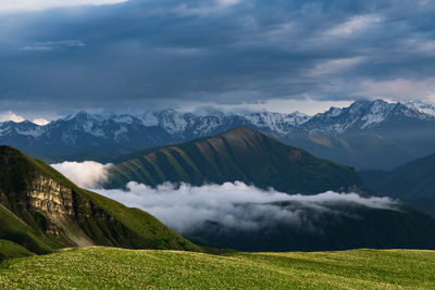 Flowers and beautiful landscape in the mountains