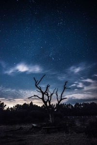 Low angle view of bare trees on field against sky