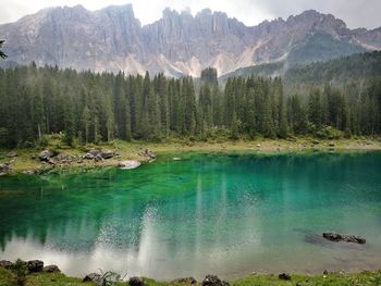 Scenic view of lake and mountains