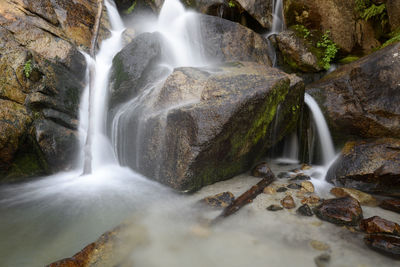 Scenic view of waterfall in forest