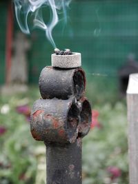 Close-up of rusty metal pole